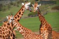 2012-04-14 Výlet do Zoo